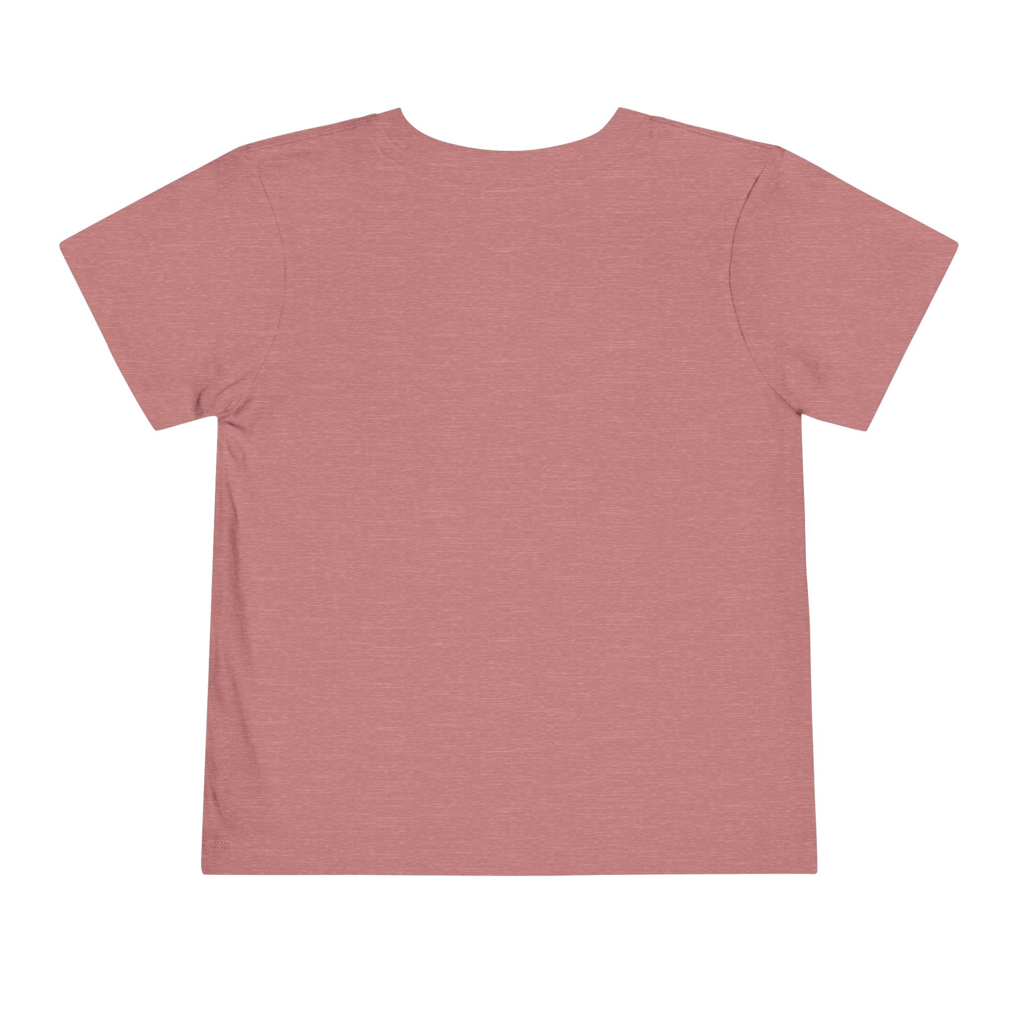 2T-5T Promoted to Big Sister Toddler Tee — Floral Announcement Shirt