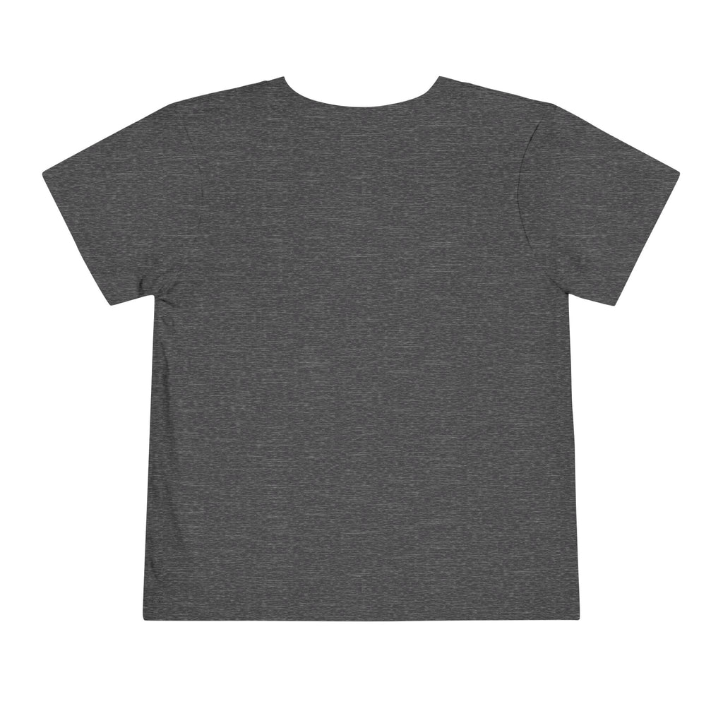 2T-5T Surprise! I'm Going to Be a Big Brother Toddler Tee