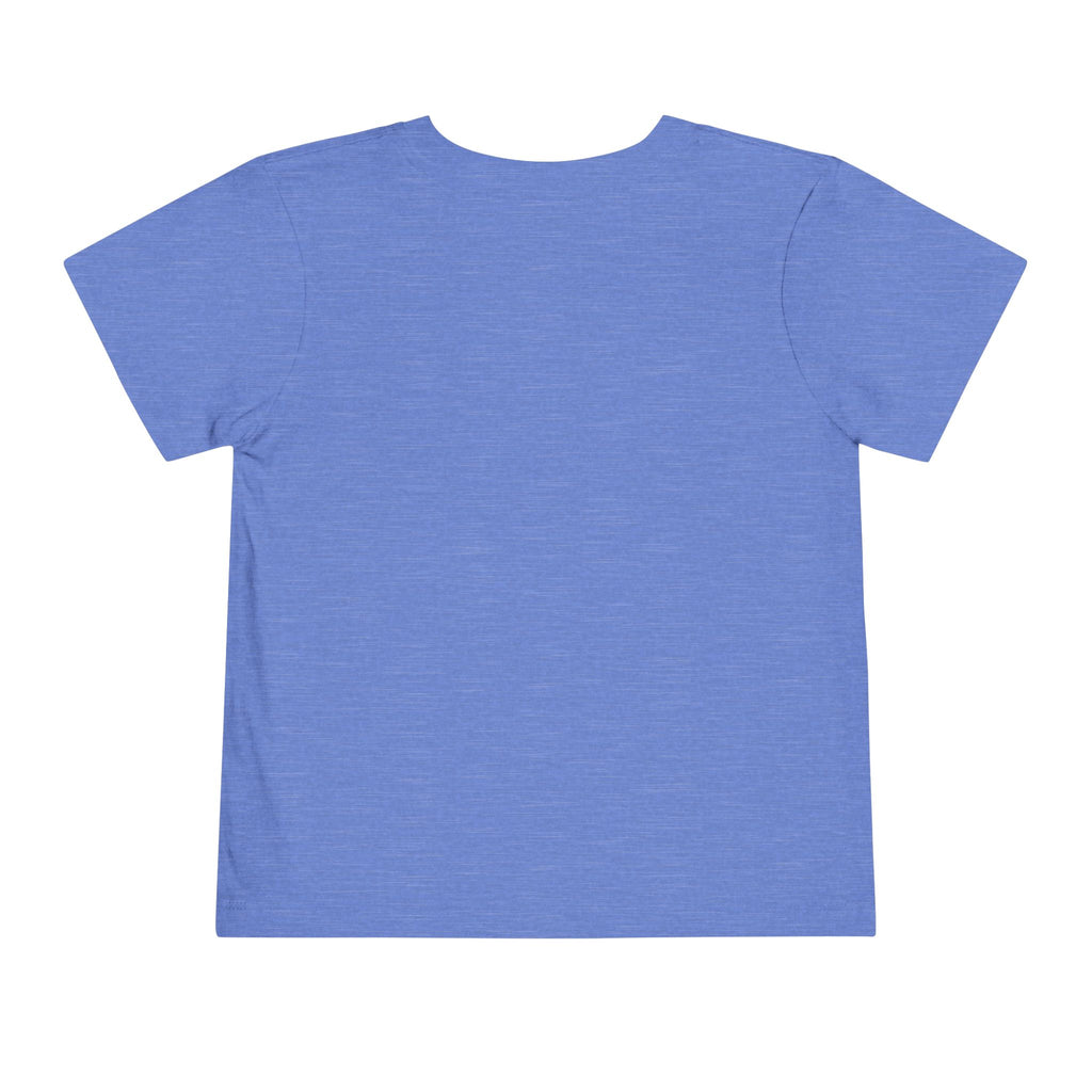 2T-5T Surprise! I'm Going to Be a Big Brother Toddler Tee
