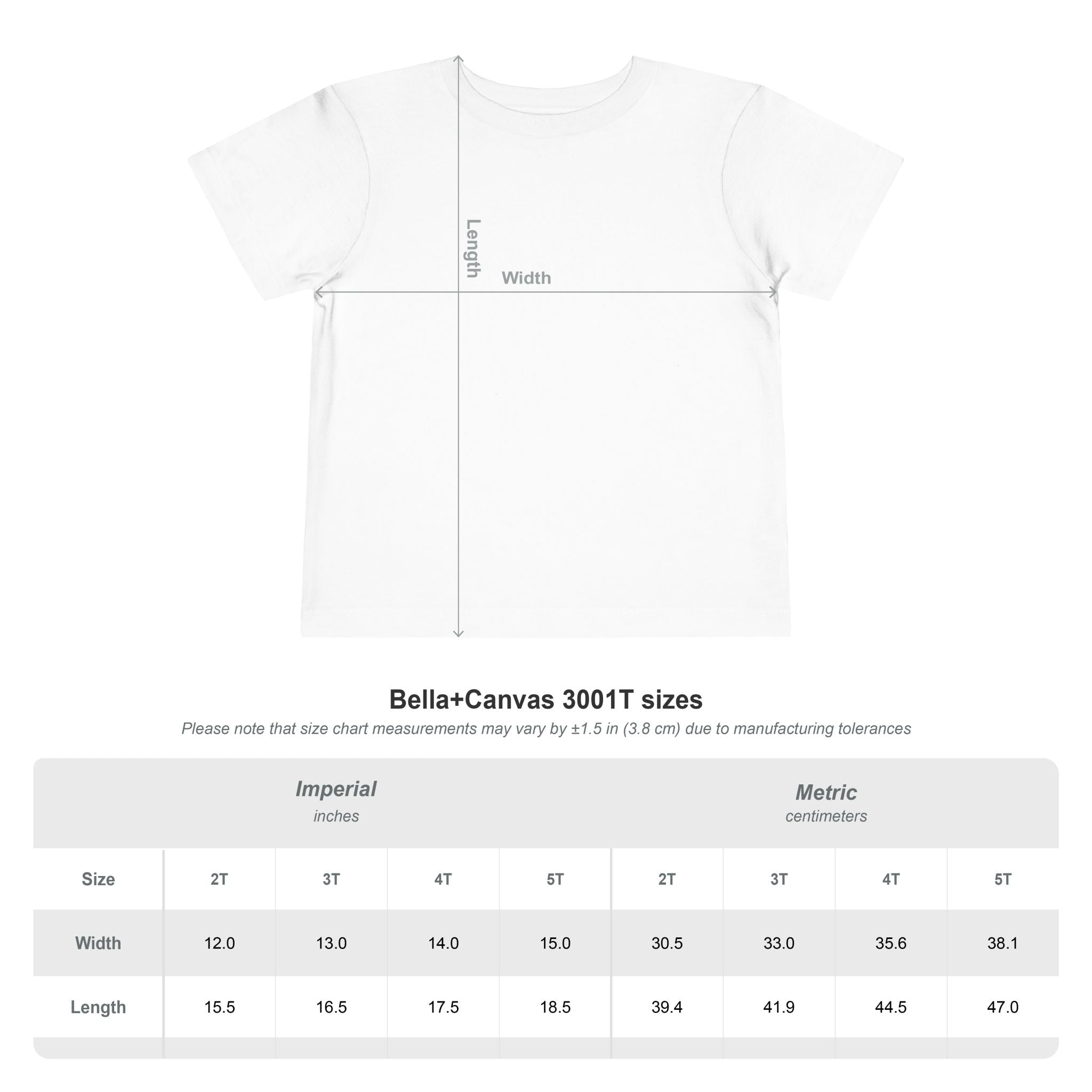 2T-5T Promoted to Big Sister Toddler Tee — "Promoted to Big Sister" Loading Announcement Shirt