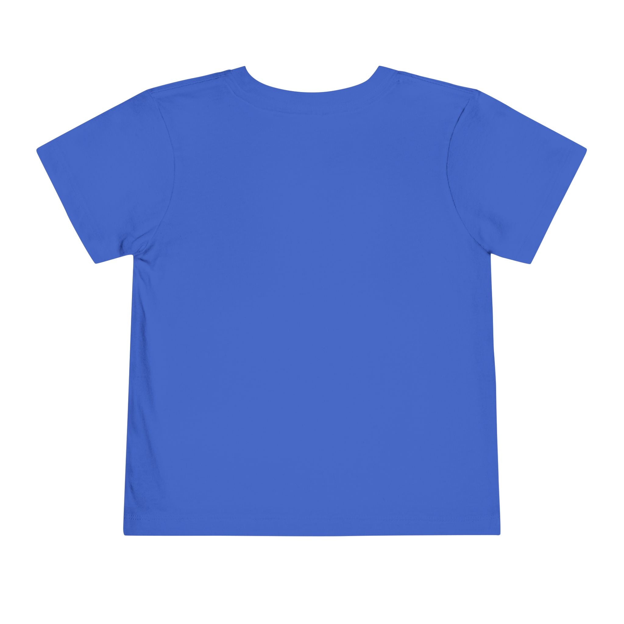 2T-5T Promoted to Big Sister Toddler Tee — Floral Announcement Shirt