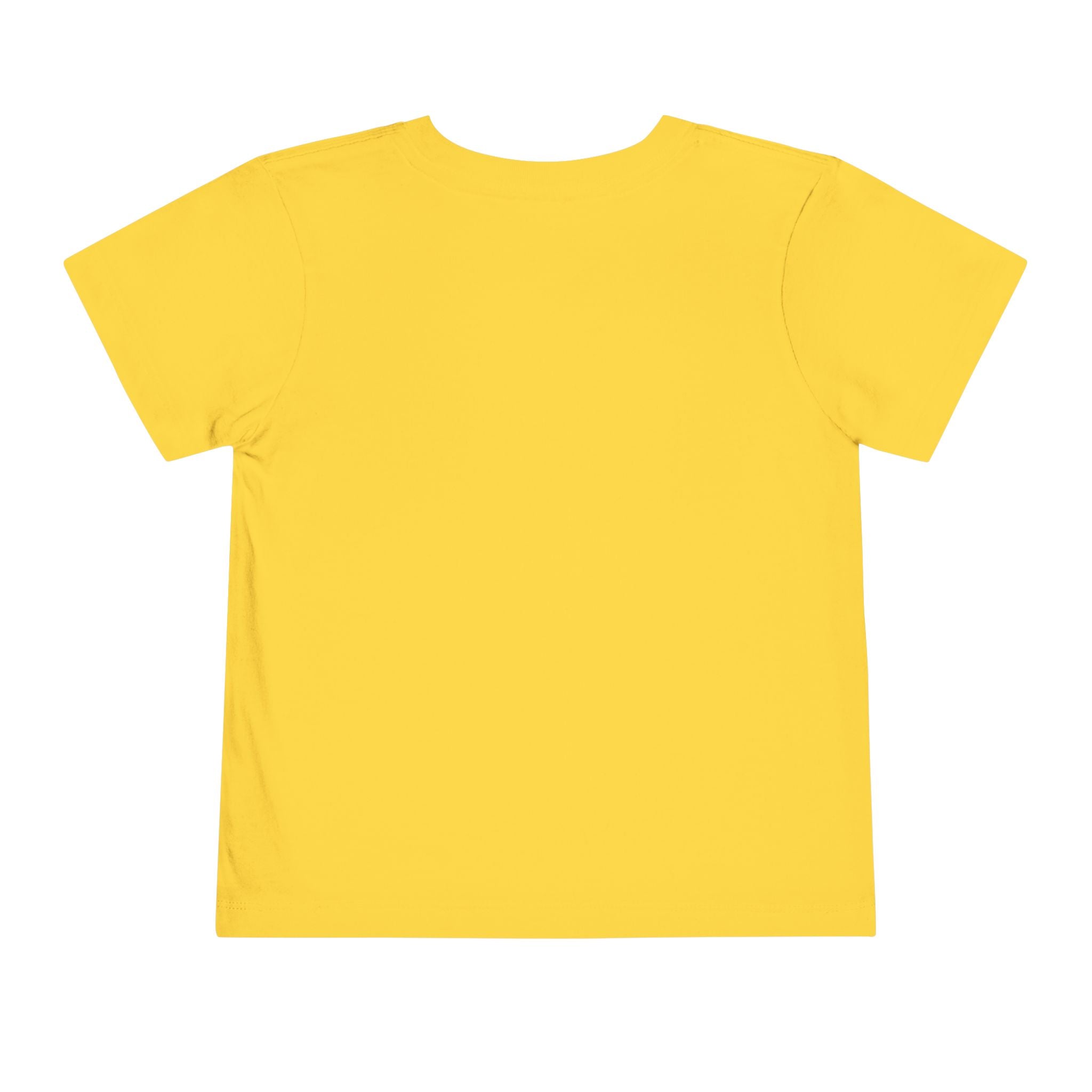 2T-5T Promoted to Big Sister Toddler Tee — Floral Announcement Shirt
