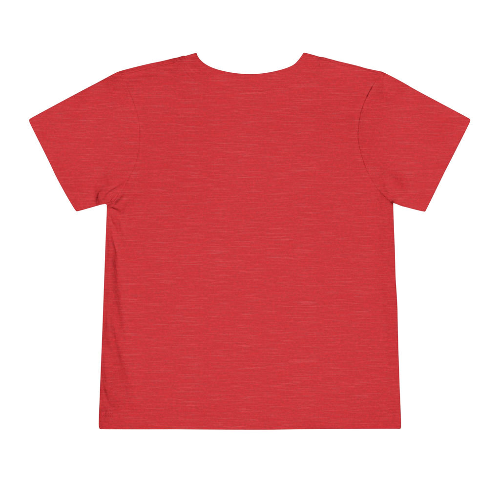 2T-5T Surprise! I'm Going to Be a Big Brother Toddler Tee
