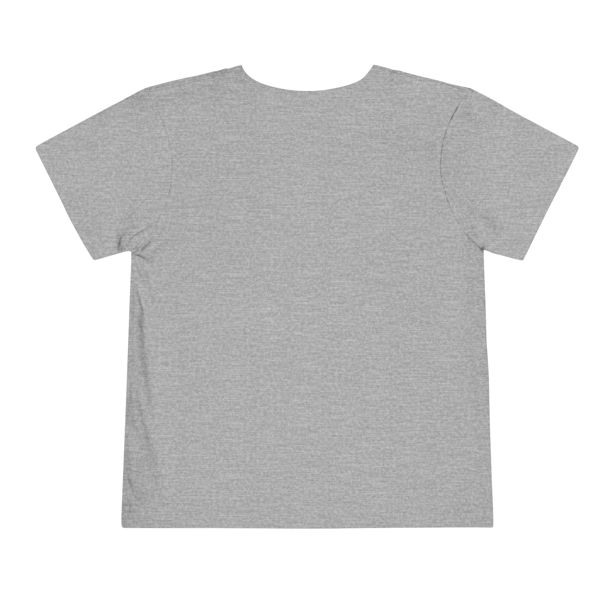 2T-5T Promoted to Big Sister Toddler Tee — Floral Announcement Shirt
